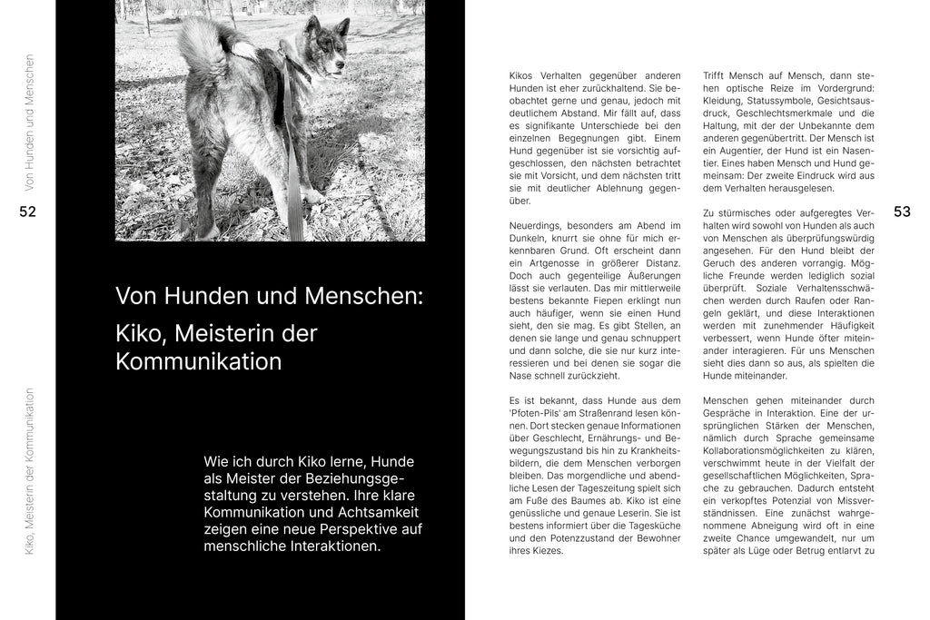 KIKO – Abenteuer Spaziergang Unternehmen