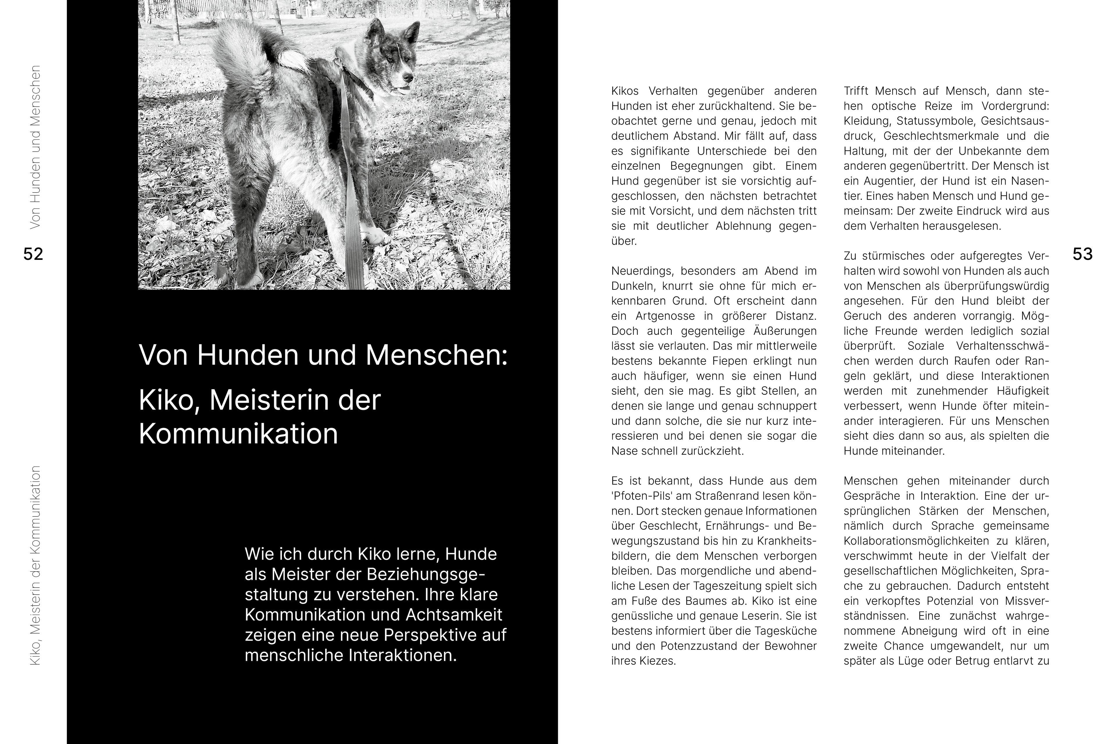 KIKO – Abenteuer Spaziergang Unternehmen